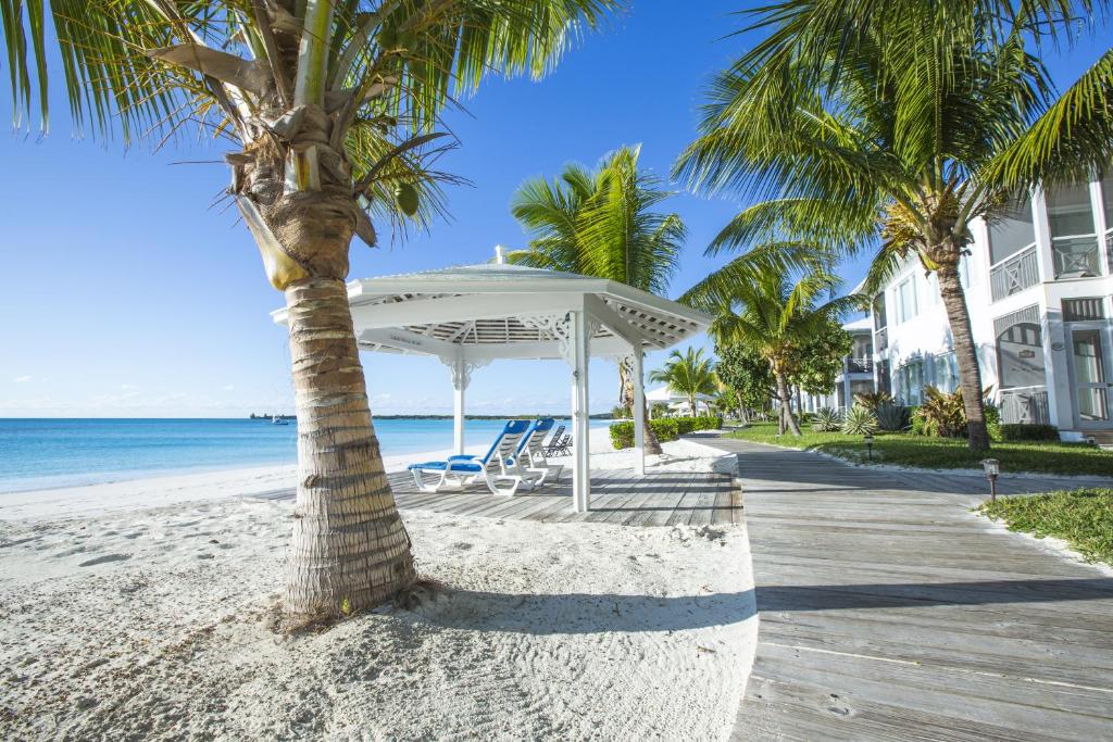 eine Palme am Strand mit einem weißen Sonnenschirm und Stühlen in der Unterkunft Cape Santa Maria Beach Resort & Villas in Seymourʼs