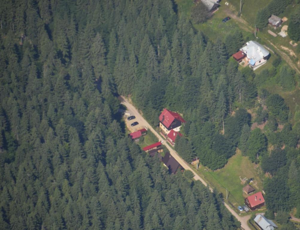 una vista aérea de una vía de tren en un bosque en Casa "Cabana Varciorog Arieseni", en Arieşeni