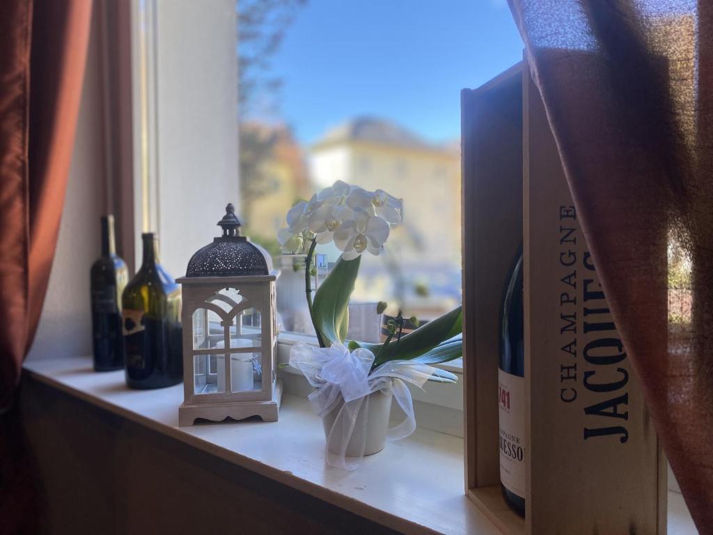 Nápoje v ubytování Albergo Stazione