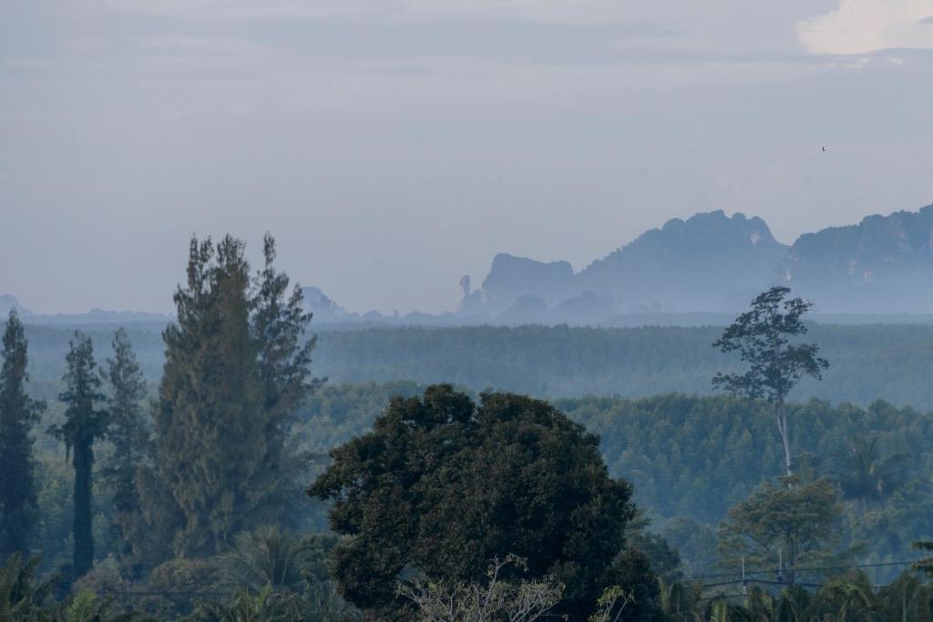 Sleep Whale Hotel - Resim 12