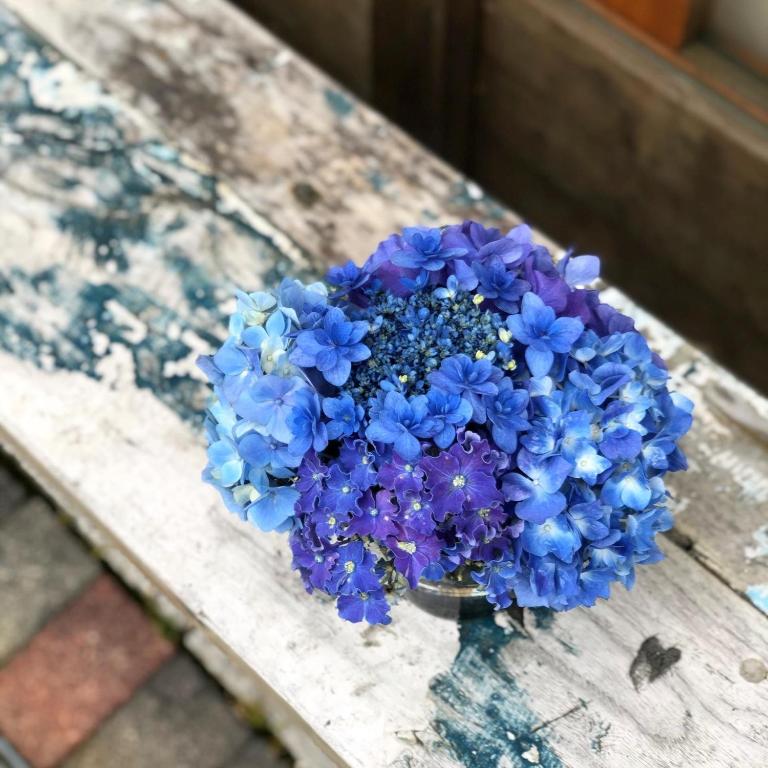 Fotografie z fotogalerie ubytování CASA Kamakura Espresso&BED v destinaci Kamakura