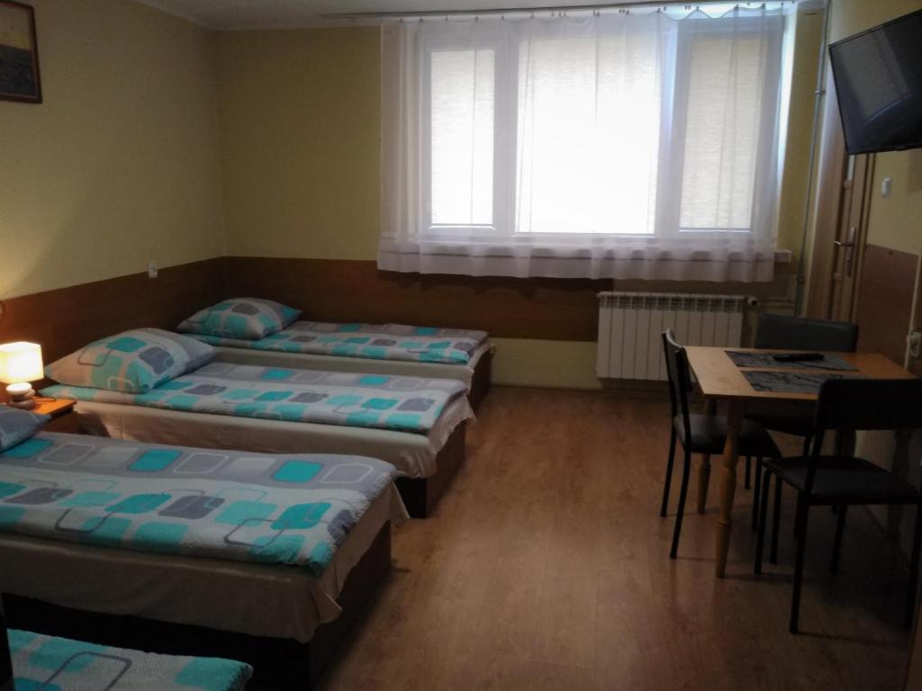 Dom Turysty SALUS - 19