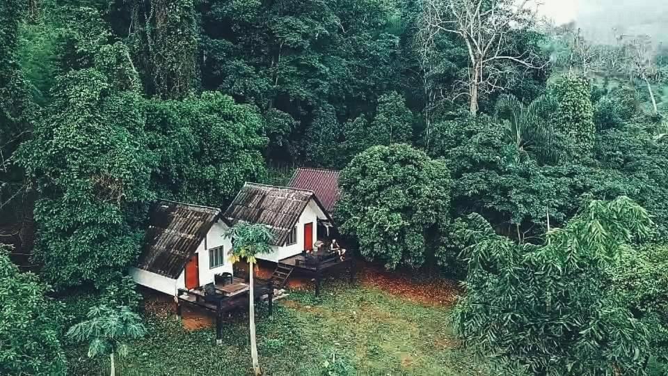 an aerial view of a house in a forest at Jungle guest house in Mae Hong Son