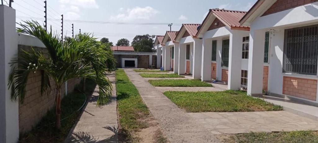 une rangée de maisons avec un trottoir et un palmier dans l'établissement Alpha Homes, à Kilifi