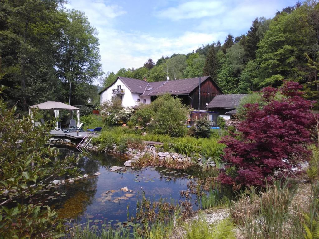 a house with a pond in front of it at Urlaubspension Die Mühle in Schöllnach