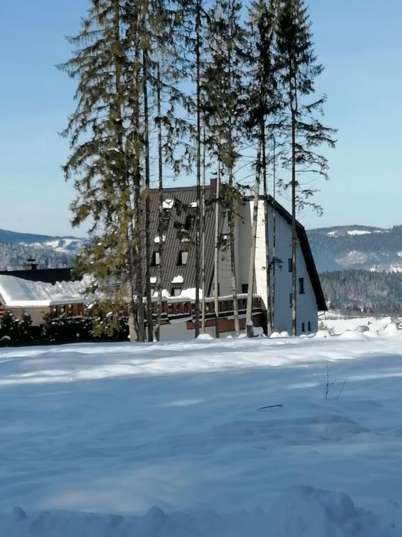 Gornje PaleにあるPlaninska Kraljicaの雪の中の建物