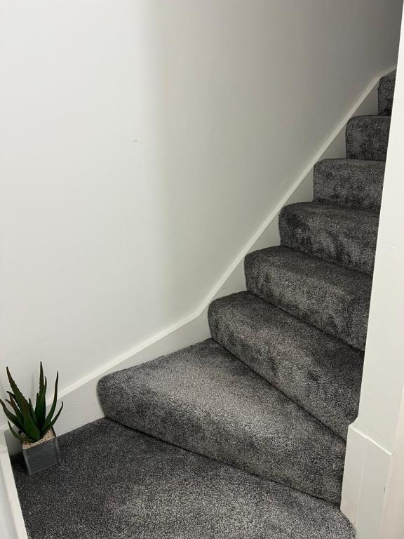 a staircase in a house with a potted plant at Liley Apartments in Stockton-on-Tees