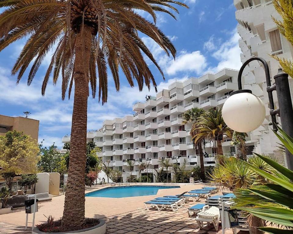 Apart Hotel Ponderosa Tenerife في بلايا ذي لاس أميريكاس: نخلة امام الفندق مع مسبح