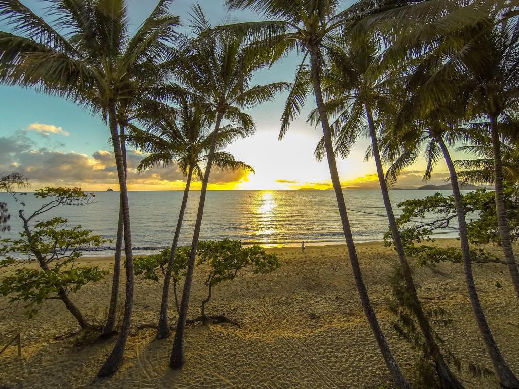 a group of palm trees on the beach at sunset at Marlin Waters Beachfront Apartments in Palm Cove