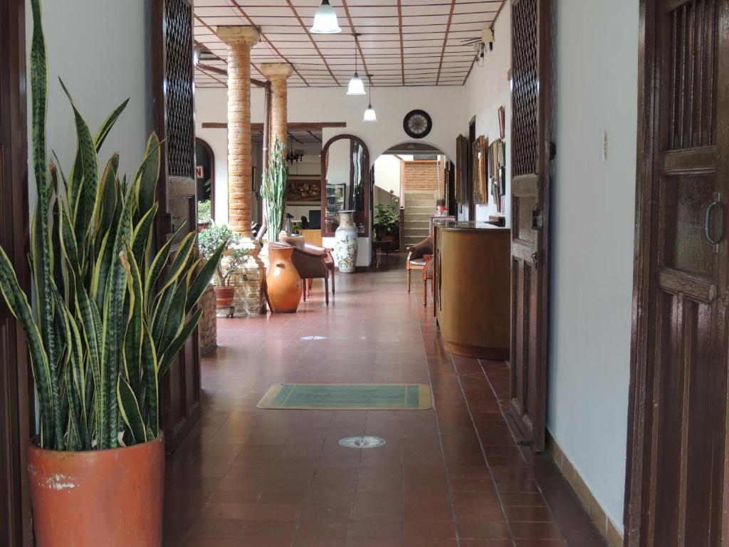 a hallway with a potted plant in a store at Hotel Real in Ocaña