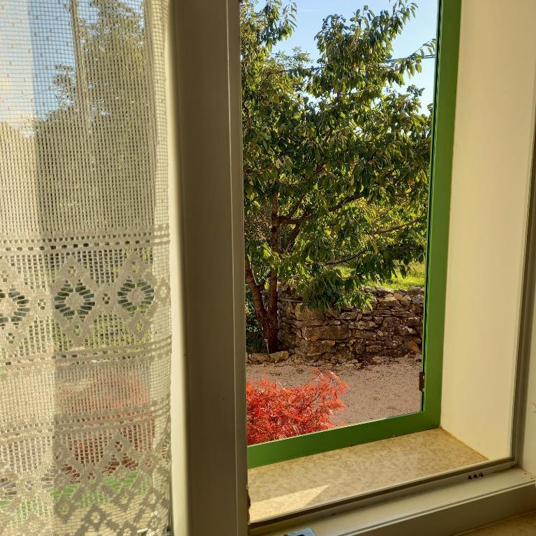 a window with a view of a tree at Villa Malini in Grožnjan