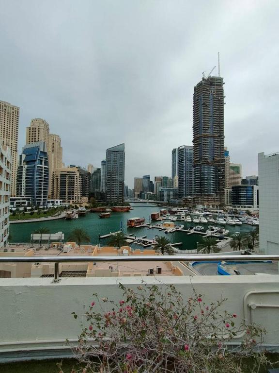 studio apartment Near the metro Dubai marina, Dubai Updated 2024 Prices