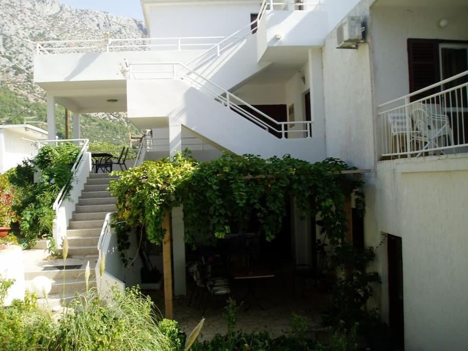 Una casa blanca con escaleras y plantas delante. en Vila Vinka Tito, en Igrane