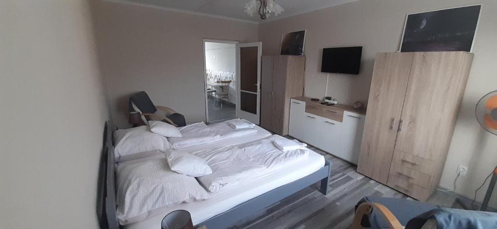 考津茨包爾齊考的住宿－Panel Hause Kazincbarcika，一间卧室配有一张带白色床单的大床