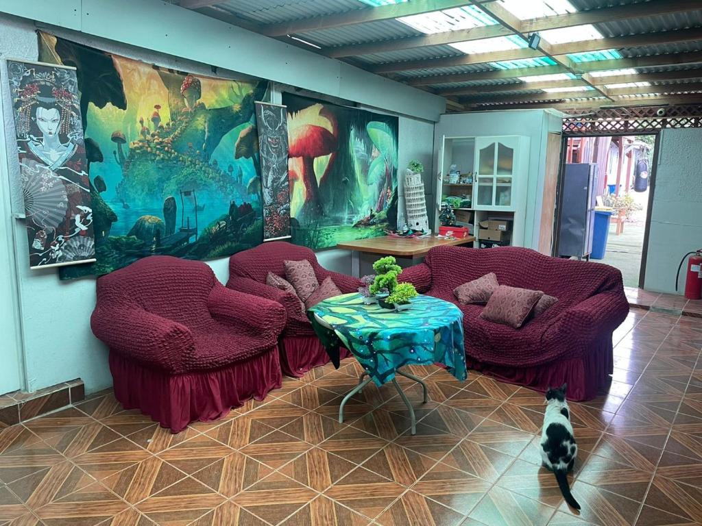 Pokój z dwoma krzesłami, stołem i psem w obiekcie el valle w mieście Copiapó