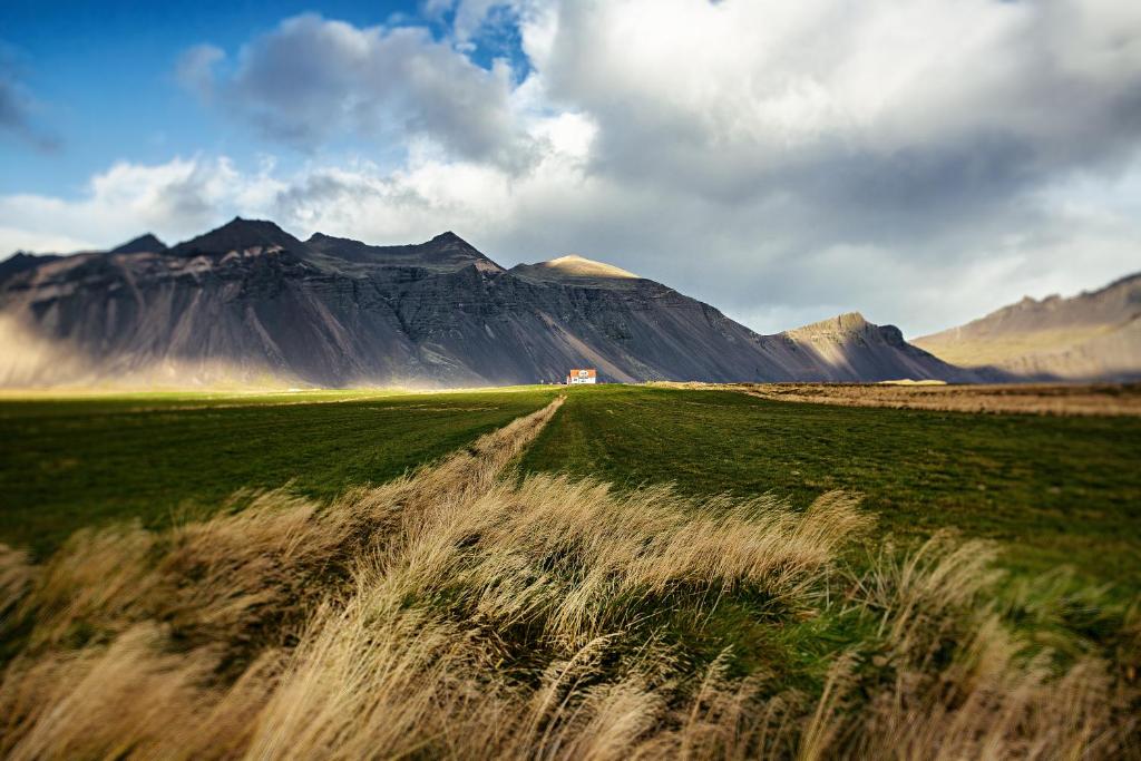 ein Grasfeld mit Bergen im Hintergrund in der Unterkunft Sauðanes Guesthouse in Höfn