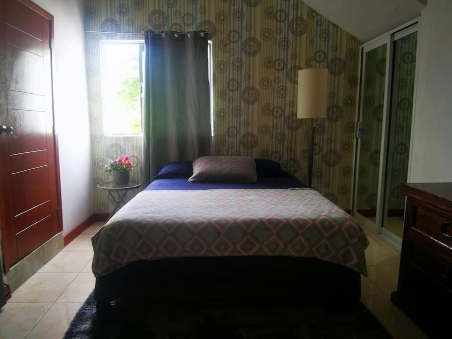 Studio Apartments For Rent In Puerto Vallarta