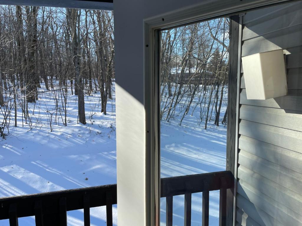 2 Bedroom 2 Bathroom - Blue Knob All Season Resort Condo v zimě