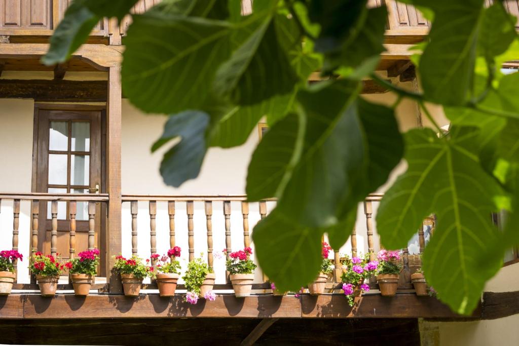 Zahrada ubytování Posada El Prado Mayor