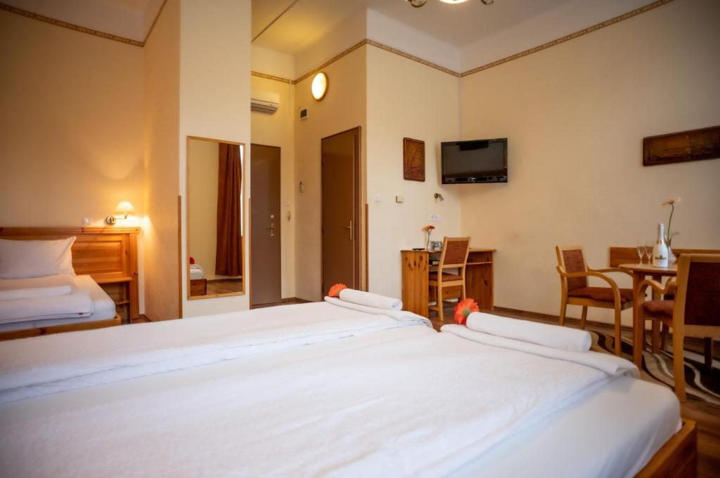 Hotel Manzard Panzio - Resim 38