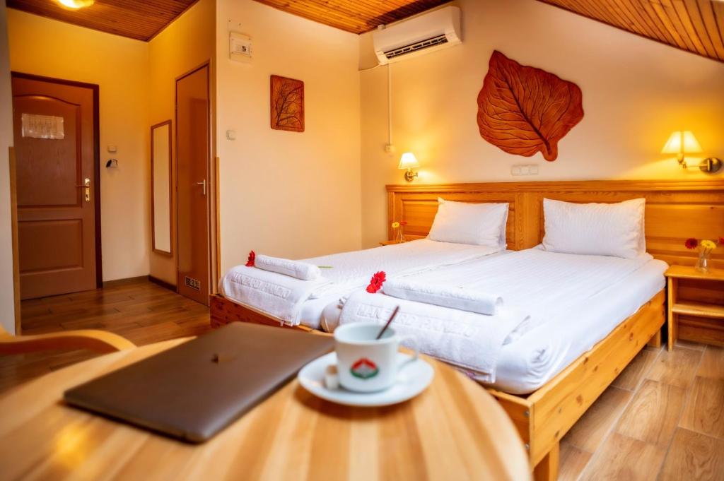 Hotel Manzard Panzio - Resim 17