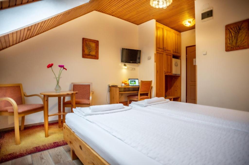 Hotel Manzard Panzio - Resim 18