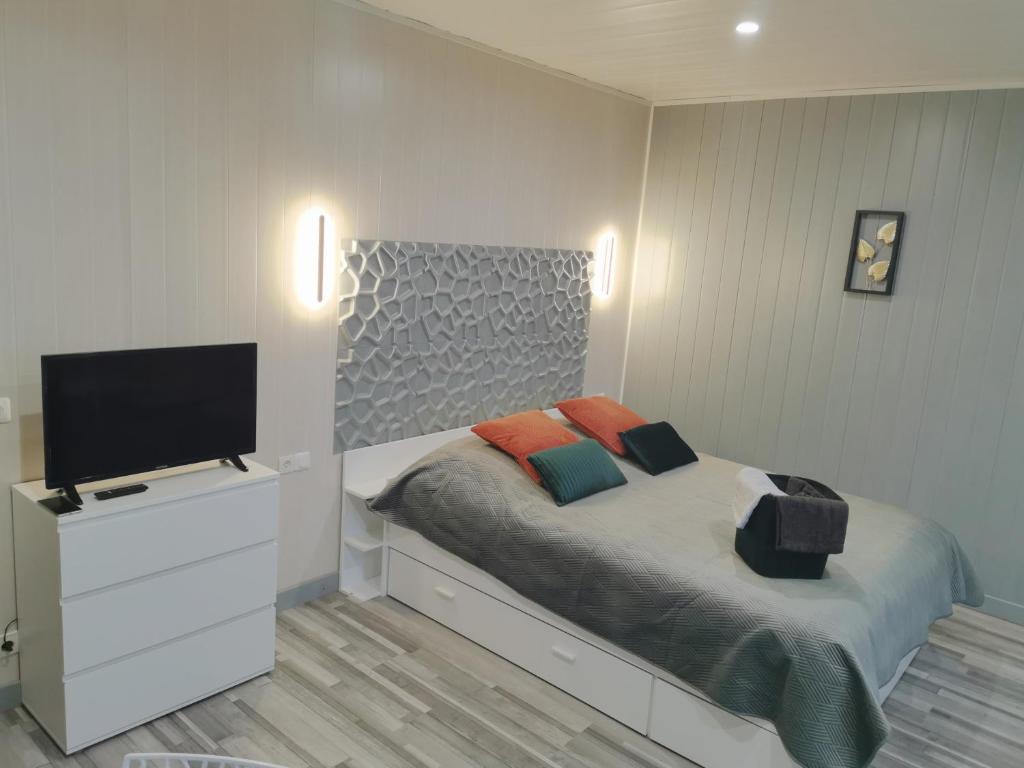 1 dormitorio con 1 cama y TV de pantalla plana en VITTEL LOC'S - Le 215 Classé 4 étoiles, Spacieux et calme, en Vittel