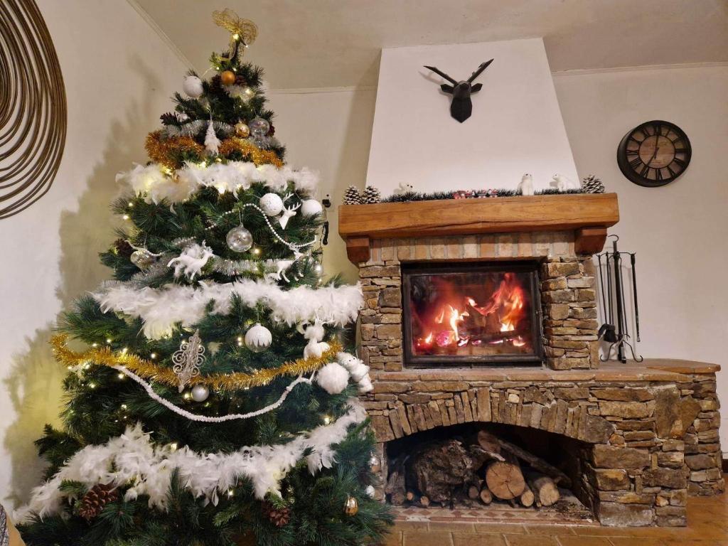 a christmas tree in a living room with a fireplace at Les clapiers appartement avec jacuzzi et rivière. in Mialet