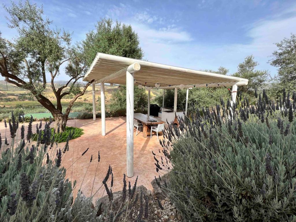 Zahrada ubytování Finca Zayas Casa Rural & Guest Suites