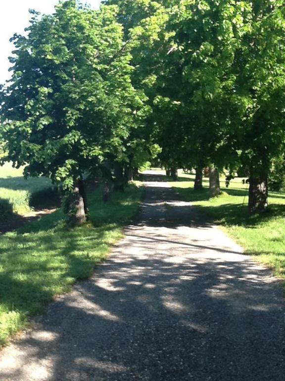 Suite le Quervalat dans magnifique bastide 18eme - 15