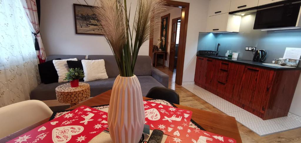 Apartamenty U Paliderki - 9