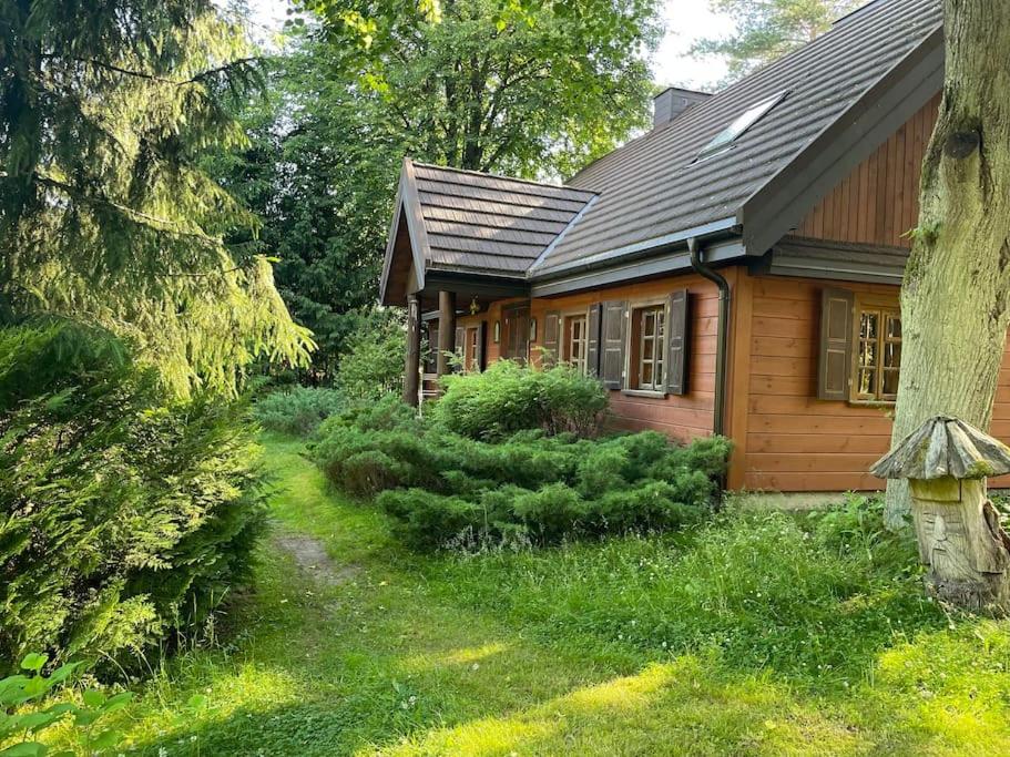a small wooden house with a yard in front of it at Dom na Podlasiu in Dziadkowice