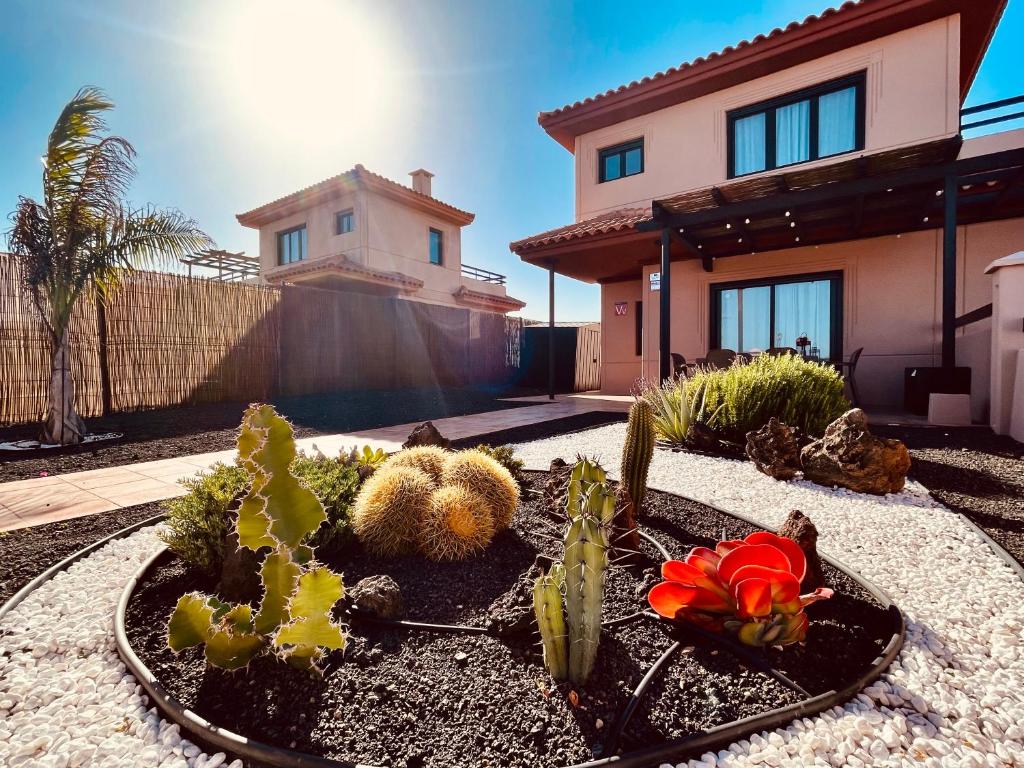 ogród z kaktusami i roślinami przed domem w obiekcie Villa Twins w mieście Lajares
