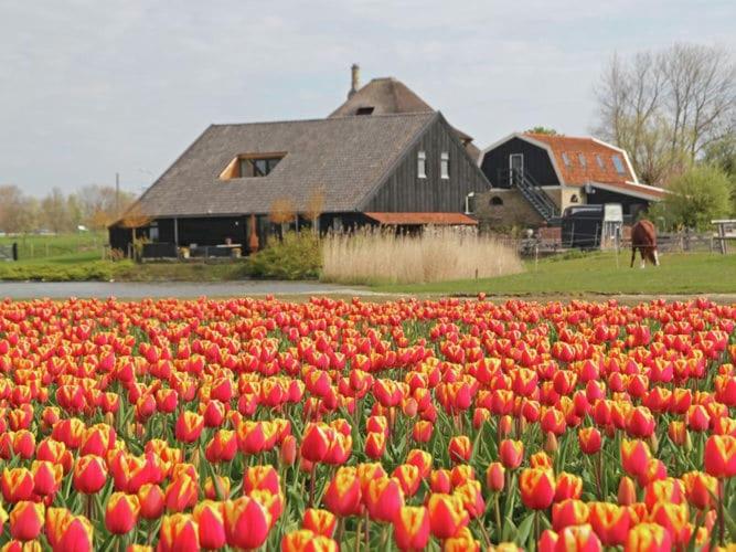 Romantic apartment in Schagen with garden, Sint Maarten, Netherlands