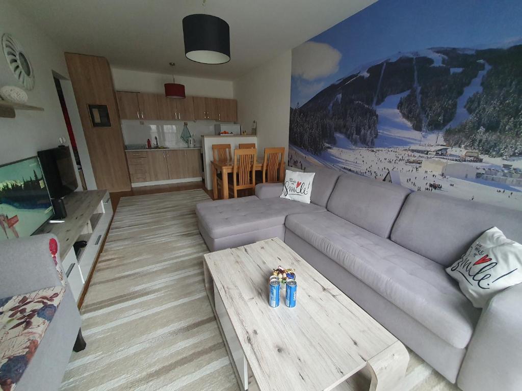 Cozy apartment Bjelašnica Ski Resort tesisinde bir oturma alanı