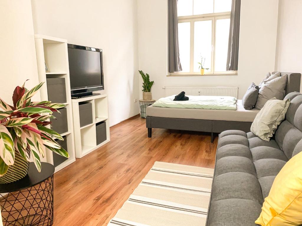 een woonkamer met een bank en een tv bij HOMY I Altbaucharme Netflix und WLAN in Leipzig