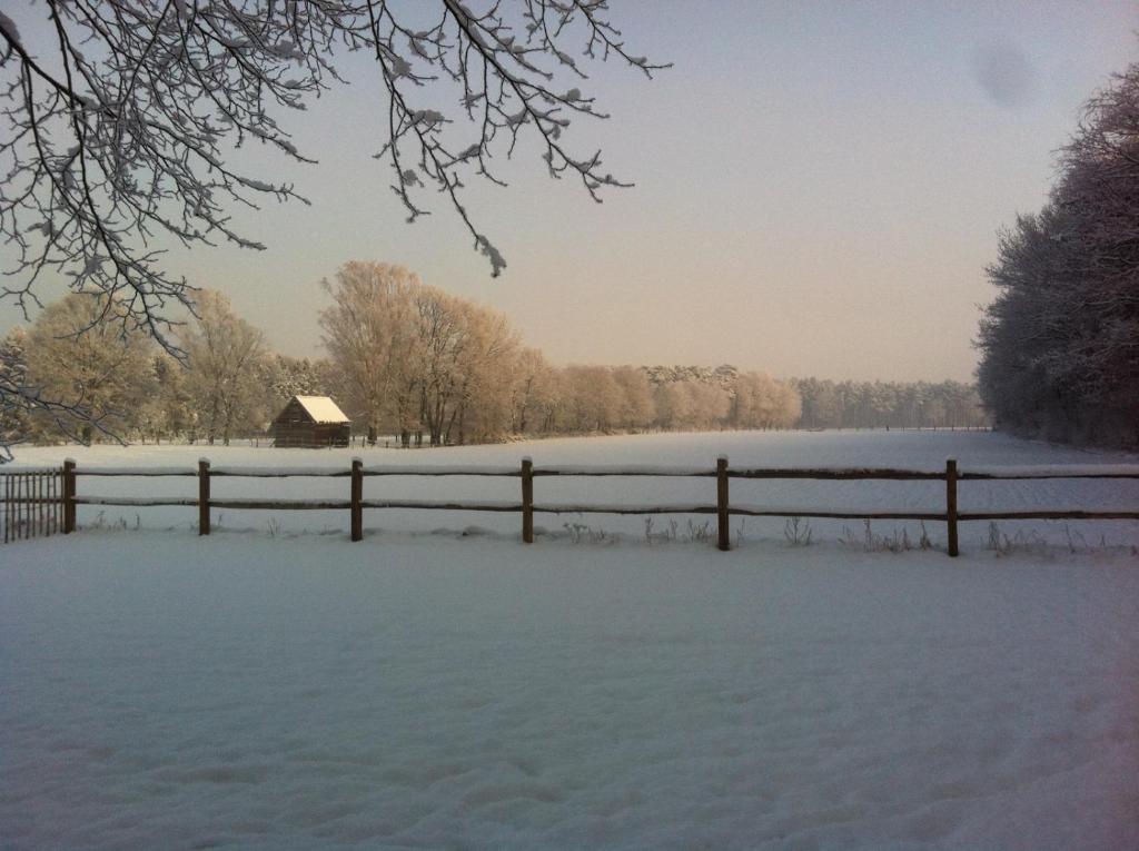 B&B De Paenhoeve v zimě