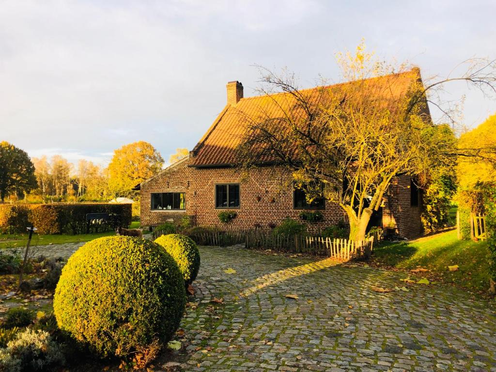 Zahrada ubytování B&B De Paenhoeve