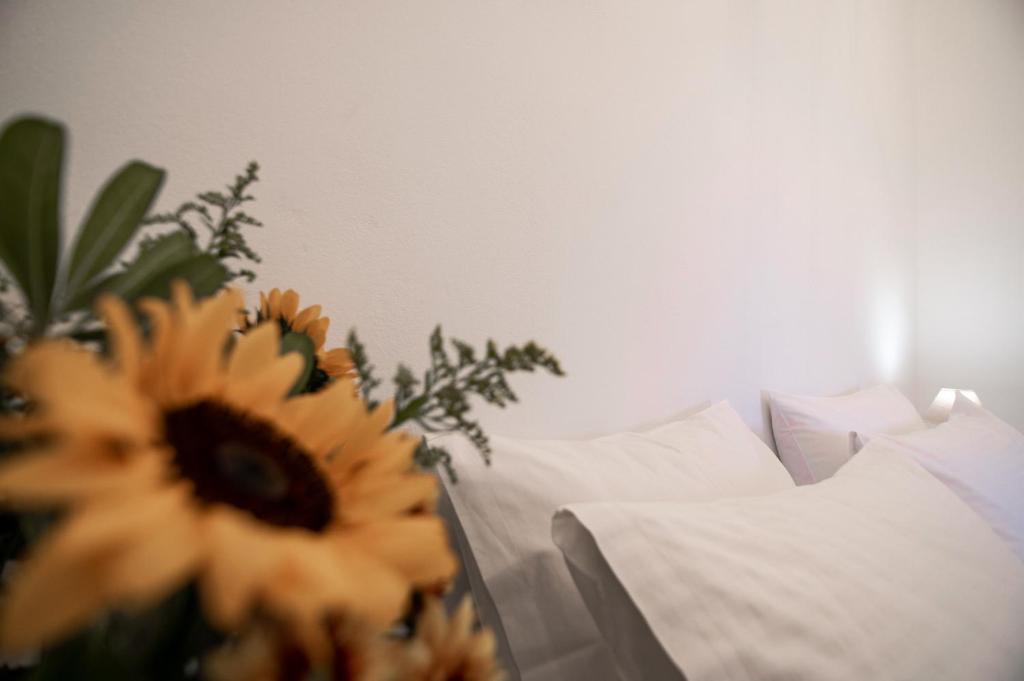 Marthas DeLight Rooms - 13