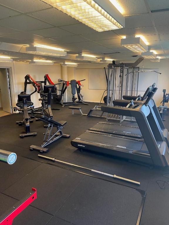 Fitness centrum a/nebo fitness zařízení v ubytování Tärnaby Fjällhotell