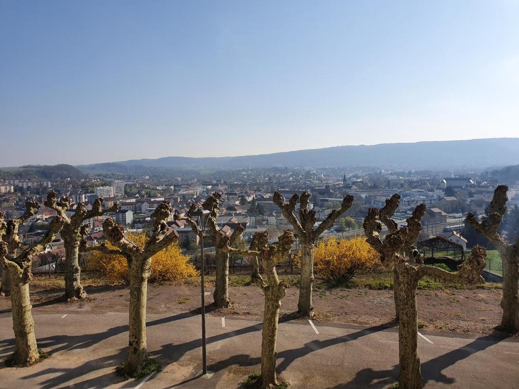 rząd drzew na wzgórzu z miastem w tle w obiekcie Appartement vue panoramique, sur les hauteurs de Lons w mieście Lons-le-Saunier