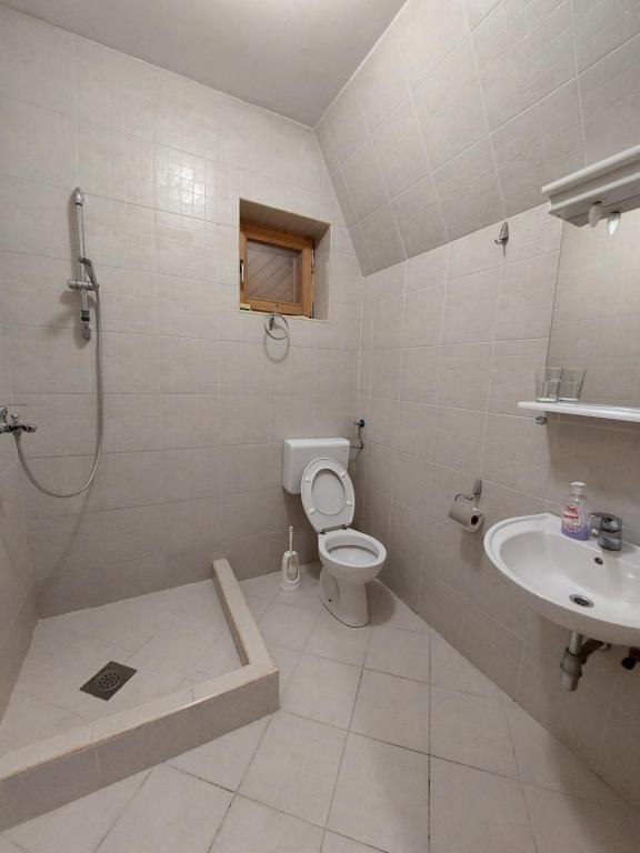 a bathroom with a shower and a toilet and a sink at Apartments A Vlasic in Vlasic