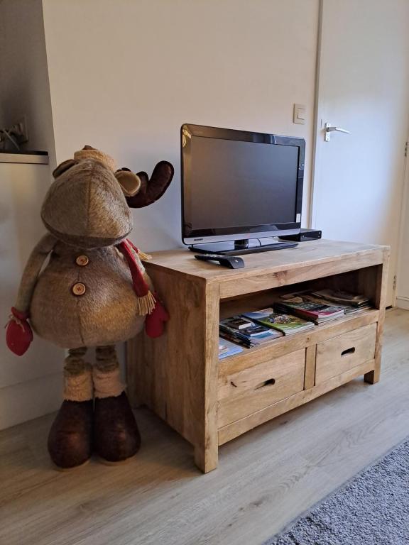 TV a/nebo společenská místnost v ubytování Gite de L'Ourthensia