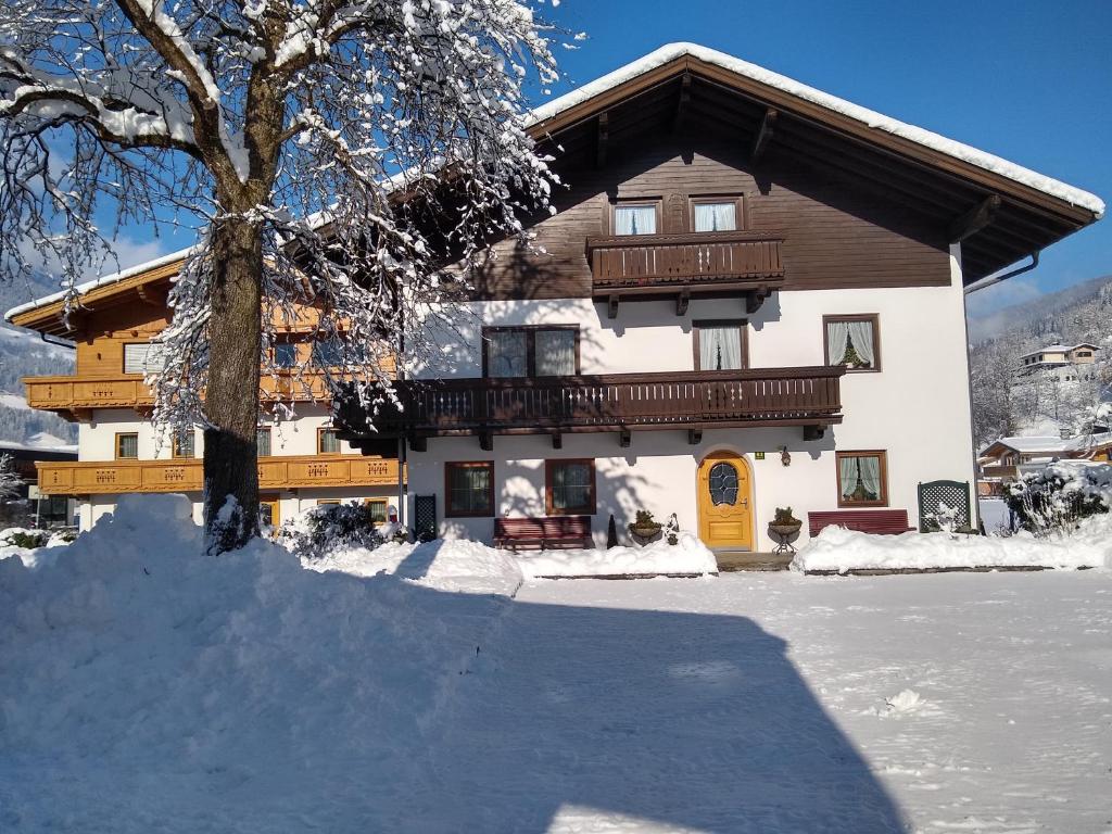 a large building with a tree in the snow at Haus Traudl in Mayrhofen