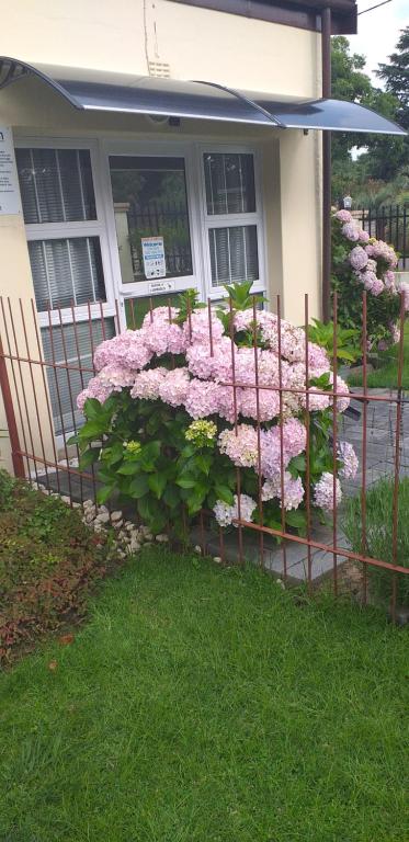 a fence with pink flowers in front of a house at Kwa-Dlamathe Guesthouse in Volksrust