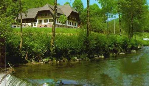 una casa en una colina junto a un río en Hotel Restaurant Ochsenwirtshof, en Bad Rippoldsau-Schapbach