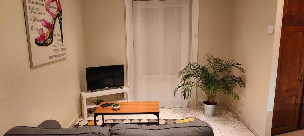 Televízia a/alebo spoločenská miestnosť v ubytovaní Charmant Appartement au Cœur de Fougères