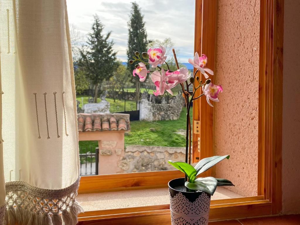 Una ventana con un jarrón con flores rosas. en Villa Lucia, en Castroserna de Abajo
