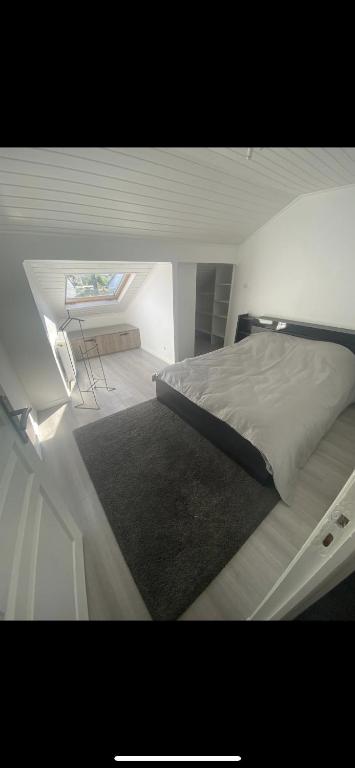 Loft mitry