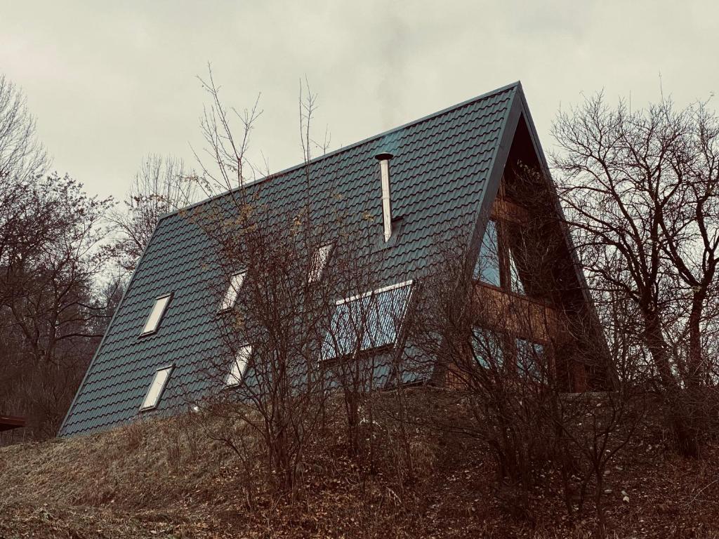 una casa con techo negro en la cima de una colina en Cabana Masiv en Comăneşti